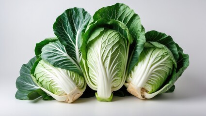 Poster - Fresh green napa cabbages arranged on white background with visible texture and detail Copy Space