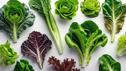 Poster - Assorted fresh lettuce varieties on a white background with vibrant green and purple leaves arranged neatly Copy Space