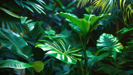 Poster - Tropical green leaves with varying textures and shapes in a lush indoor setting ideal for nature backgrounds and designs