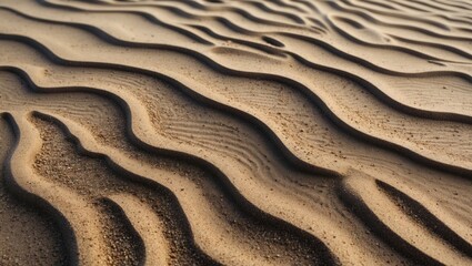 Poster - Sand dunes with wave patterns and texture, natural abstract background, warm tones, Copy Space.