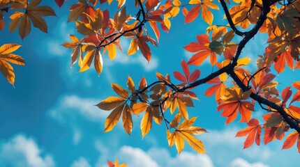Poster - Colorful Autumn Leaves Against a Bright Blue Sky With Clouds and Copy Space for Text