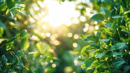 Poster - Sunlit Green Leaves with Bokeh Effect and Natural Light Background Copy Space