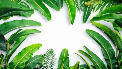 Poster - Tropical green leaves frame on white background with ample copy space for text insertion