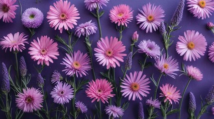 Poster - Colorful arrangement of pink and purple flowers on a solid background with Copy Space for text placement.