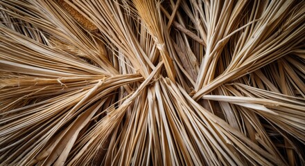 Poster - Detailed close-up of dried palm leaves texture arranged in a layered pattern natural earthy colors Copy Space