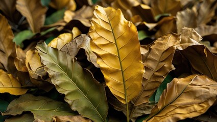 Poster - Close-up of assorted dried leaves in various shades of brown and yellow in a natural setting with copy space for text.
