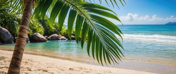 Poster - Tropical beach scene with palm leaf in foreground and calm blue ocean under clear sky with fluffy clouds Copy Space
