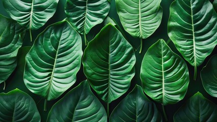 Poster - Green tropical leaves background with diverse shapes and textures for natural design projects and environmental themes Copy Space