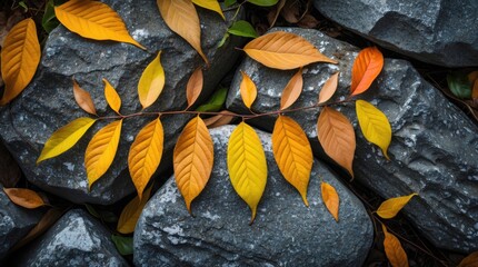 Aufkleber - Colorful autumn leaves on grey stones with textured surfaces and natural lighting showcasing seasonal changes and organic patterns Copy Space