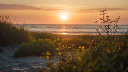 Poster - Beautiful sunset over the ocean with beach vegetation in the foreground and a tranquil seascape background Copy Space