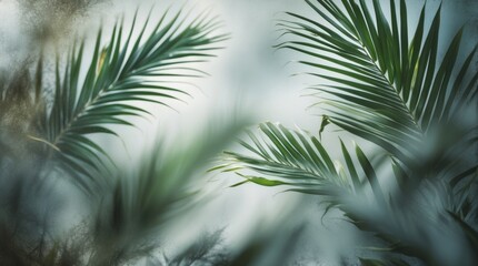 Aufkleber - Tropical palm leaves with soft focus and muted background for natural and serene settings Copy Space