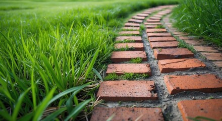 Aufkleber - Curved pathway made of red brick tiles surrounded by lush green grass in a natural outdoor setting with clear depth of field and Copy Space