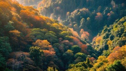 Poster - Vibrant autumn foliage covering a lush mountainous landscape with sunlight filtering through the trees Copy Space
