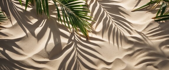 Aufkleber - Palm tree shadows on soft sand creating textured patterns in bright sunlight nature background Copy Space