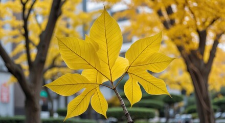 Aufkleber - Bright yellow autumn leaves against a blurred background of golden trees in an urban setting with copy space for text.