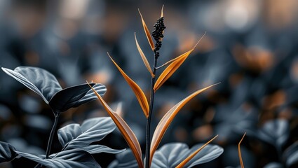 Aufkleber - Colorful tropical plant with elongated leaves and striking orange accents against blurred dark background Copy Space