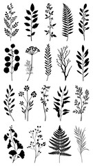 Wall Mural - png botanical leaves element set on transparent background