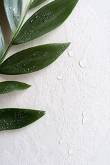 Poster - Tropical leaves are elegantly arranged on a polished white marble slab, adorned with glistening dewdrops. Soft ethereal lighting adds to the minimalist luxury aesthetic, creating a serene atmosphere