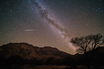 Wall Mural - night sky with milky way galaxy over mountains and tree.