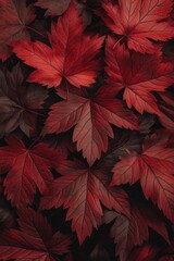 Wall Mural - Close-up of vibrant red autumn leaves, creating a rich textured background.