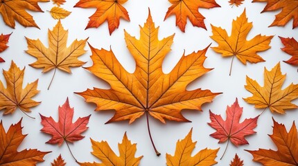 Poster - colorful autumn leaves arranged on a white background with a large central leaf and smaller leaves s