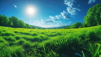 Aufkleber - Lush green field under bright blue sky with clouds and sunlight radiating in a serene landscape with trees on the horizon Copy Space