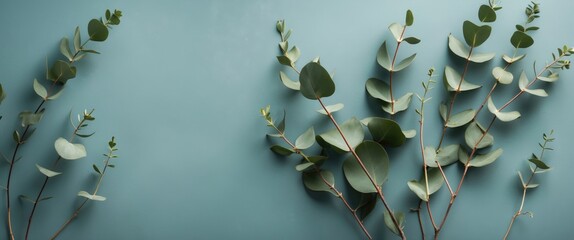 Poster - eucalyptus branches arranged on a teal background with ample copy space for design elements or text 