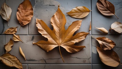 Poster - dried autumn leaves arranged on a textured surface flatlay composition with copy space for text elem