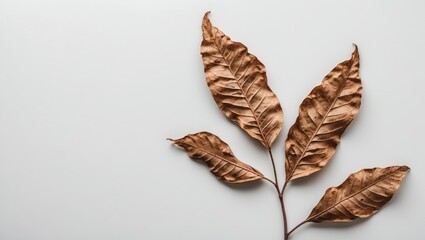 Poster - Dried brown leaves on a light background artistic arrangement with copy space for text insertion