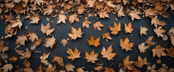 Poster - autumn leaves scattered on the ground creating a textured background with natural colors and copy sp