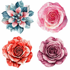 Poster - Watercolor floral collection botanical art garden artistic display colorful translate background