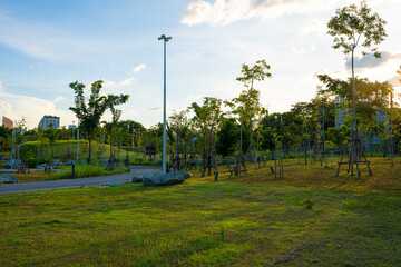 Wall Mural - Walking pathway in green city public park office building sunset sky cloud