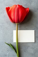Poster - a vertical white rectangle poster mockup with a soft shadow is positioned on a light grey concrete b