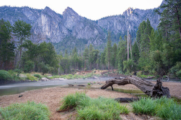 Wall Mural - Quiet summers morning along side the Merced river in Yosemite National Park, Califronia. The mountains dominate the skyline