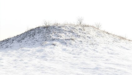 Fototapete - Minimalistic snowy hill with sparse trees and grass, evoking tranquility and simplicity against a white background in high resolution