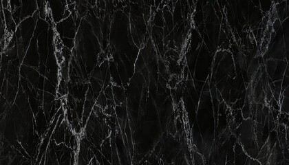 Poster - black marble texture with white veins, high contrast, luxurious surface for background or interior design