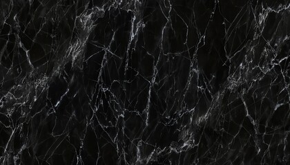 Poster - black marble texture with white veins, high contrast, luxurious surface for background or interior design