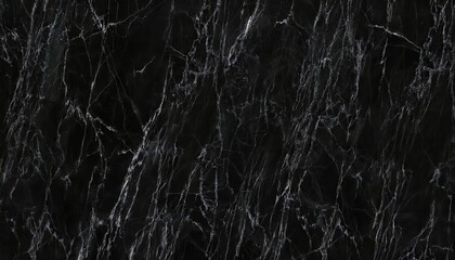 Poster - black marble texture with white veins, high contrast, luxurious surface for background or interior design