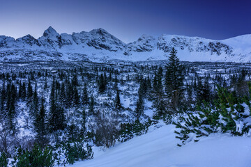 Fototapete - Winter landscape of the Tatra Mountains in early morning, Poland