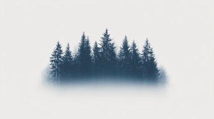 Foggy forest silhouette, misty trees, peaceful nature, serene landscape, website background