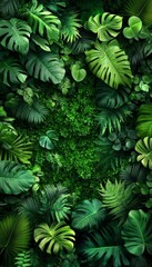 Canvas Print - Lush Green Tropical Foliage Wall A Textured Background of Anthurium, Epiphytes, and Ferns