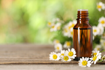 Wall Mural - Bottle of essential oil and chamomile flowers on wooden table. Space for text