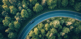 A car travels along a curvy highway, seamlessly blending into the vibrant green surroundings of a dense forest during daylight