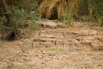 Wall Mural - Sudan Kerma ruins on a cloudy spring day