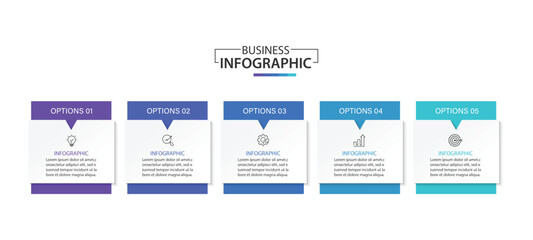 Wall Mural - business infographic design template with 5 options, steps or processes