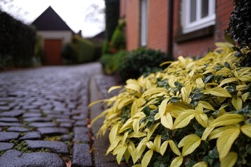 Aufkleber - A small yellow bush is growing on the sidewalk in front of a brick building