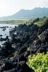 Poster - Rocky coast meets the sea with mountains in the background.  Tourism stock