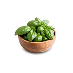 Wall Mural - Fresh green basil leaves in a small wooden bowl isolated on transparent background
