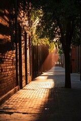 Wall Mural - Light beams down alley illuminating bricks, trees casting shadows on the ground