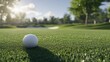 © Joyce - Closeup view of golf ball on green grass lawn